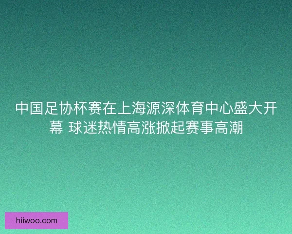 中国足协杯赛在上海源深体育中心盛大开幕 球迷热情高涨掀起赛事高潮
